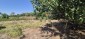 15765:36 - Cheap Bulgarian property for renovation 28 km from the sea 