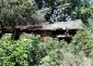 15768:46 - Rural Bulgarian house with barn close to forest in Vratsa region