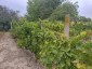 15771:13 - Rural Retreat for Sale – 5 km from the Danube River