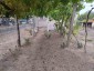 15771:12 - Rural Retreat for Sale – 5 km from the Danube River