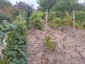 15771:25 - Rural Retreat for Sale – 5 km from the Danube River