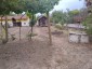 15771:43 - Rural Retreat for Sale – 5 km from the Danube River