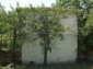 15786:41 - Cheap Bulgarian House Near Vratsa - Rural Property Big Yard
