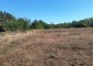 15798:15 - House, 6000sq.m garden near Forest and Lake 45 km to Vratsa