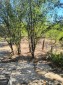 15798:20 - House, 6000sq.m garden near Forest and Lake 45 km to Vratsa