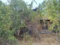 15813:2 - CHEAP HOUSE, big garden, 20km from Danube, make your home