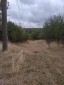 15813:16 - CHEAP HOUSE, big garden, 20km from Danube, make your home