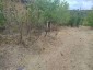 15813:36 - CHEAP HOUSE, big garden, 20km from Danube, make your home
