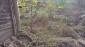 15816:11 - Cheap Bulgarian Property for Sale Near the Danube River