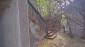 15816:14 - Cheap Bulgarian Property for Sale Near the Danube River
