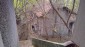 15816:17 - Cheap Bulgarian Property for Sale Near the Danube River