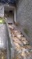 15816:31 - Cheap Bulgarian Property for Sale Near the Danube River