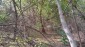 15816:33 - Cheap Bulgarian Property for Sale Near the Danube River