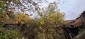 15837:55 - House with 6 rooms, barn, garden and lovely views Ruse area
