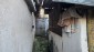 15873:54 - Cozy Bulgarian property for sale between Plovdiv and St.Zagora 