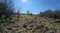 15894:52 - Rural Bulgarian house garden 3500sq.m Veliko Tarnovo region