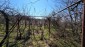 15894:62 - Rural Bulgarian house garden 3500sq.m Veliko Tarnovo region