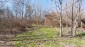 15909:11 - Brick built rural Bulgarian house big potential near Danube rive