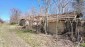 15909:34 - Brick built rural Bulgarian house big potential near Danube rive