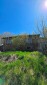 15915:5 - Danube Serenity  Bulgarian  Estate 5 bedrooms 2400sq.m garden