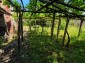 15921:15 - Cheap Rural Bulgarian house  with nice view 14km to Danube