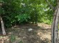 15945:16 - Cheap Bulgarian house for sale 5km from Danube river
