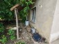 15945:19 - Cheap Bulgarian house for sale 5km from Danube river
