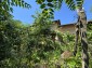15954:6 - House for renovation - big garden and nice views  Danube plane