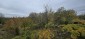 15954:8 - House for renovation - big garden and nice views  Danube plane