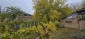15954:12 - House for renovation - big garden and nice views  Danube plane