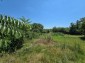 15954:55 - House for renovation - big garden and nice views  Danube plane