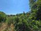 15954:73 - House for renovation - big garden and nice views  Danube plane
