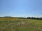 15954:79 - House for renovation - big garden and nice views  Danube plane