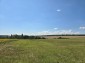 15954:81 - House for renovation - big garden and nice views  Danube plane
