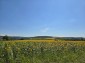 15954:82 - House for renovation - big garden and nice views  Danube plane