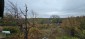 15954:84 - House for renovation - big garden and nice views  Danube plane