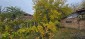 15954:90 - House for renovation - big garden and nice views  Danube plane