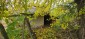 15954:91 - House for renovation - big garden and nice views  Danube plane