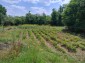 15954:100 - House for renovation - big garden and nice views  Danube plane