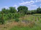 15954:99 - House for renovation - big garden and nice views  Danube plane