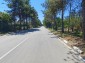15963:6 - Cozy Rural Bulgarian house 15kmfrom Danube river and Svishtov