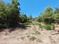 15963:13 - Cozy Rural Bulgarian house 15kmfrom Danube river and Svishtov