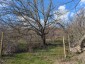 15978:36 - Cheap Rural Bulgarian House for renovation 20km from Danube