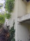 15984:3 - Solid Bulgarian property for sale with big garden close to Danub