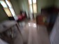 15984:24 - Solid Bulgarian property for sale with big garden close to Danub