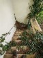 15984:29 - Solid Bulgarian property for sale with big garden close to Danub