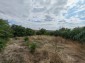 15987:6 - Cheap House for renovation with 3000sq.m land and nice views