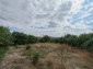 15987:7 - Cheap House for renovation with 3000sq.m land and nice views