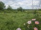 15990:37 - Cheap Bulgarian House with nice views 35km from Stara Zagora