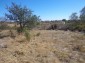 15996:48 - Cheap Bulgarian partly renovated property 15km from Elhovo